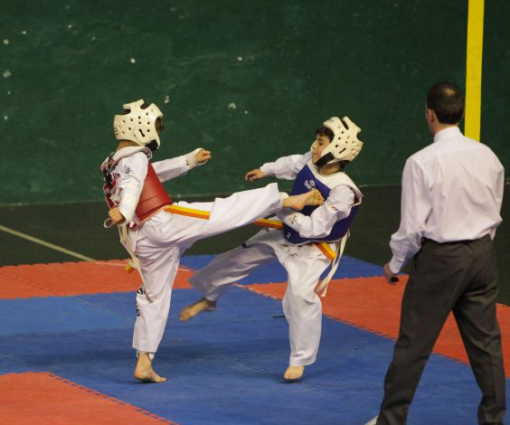 Taekwondo-3