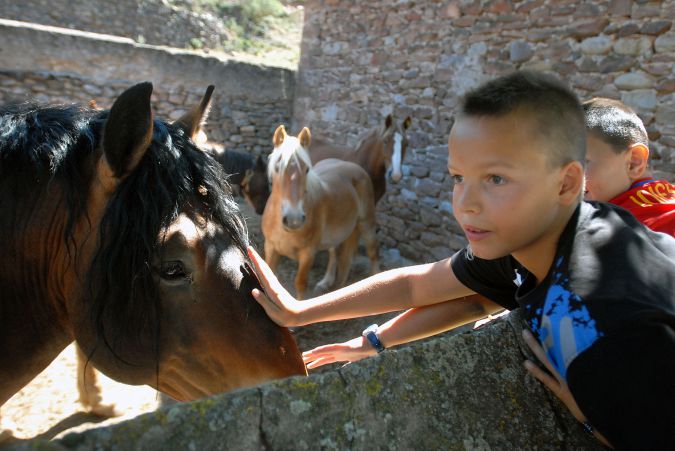 Feria-24