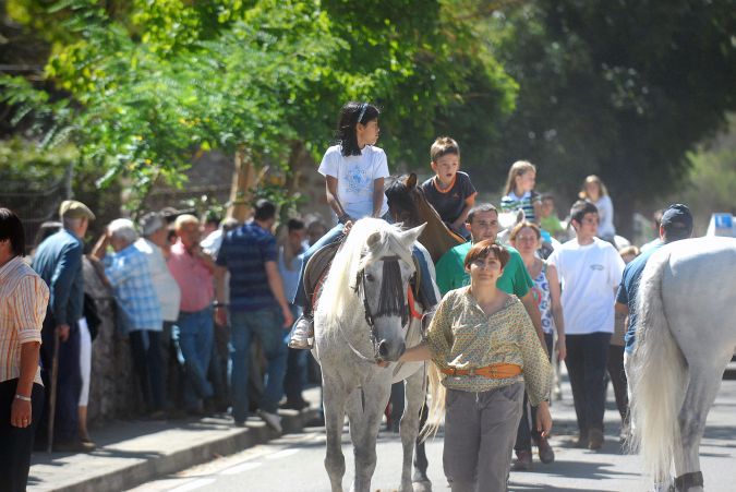 Feria-8