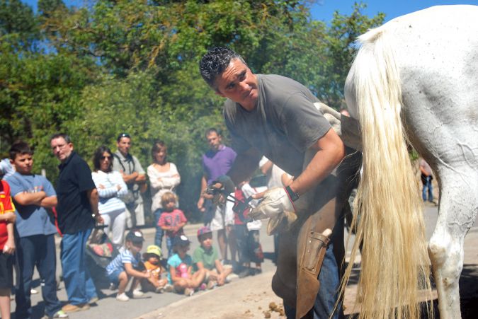 Feria-11